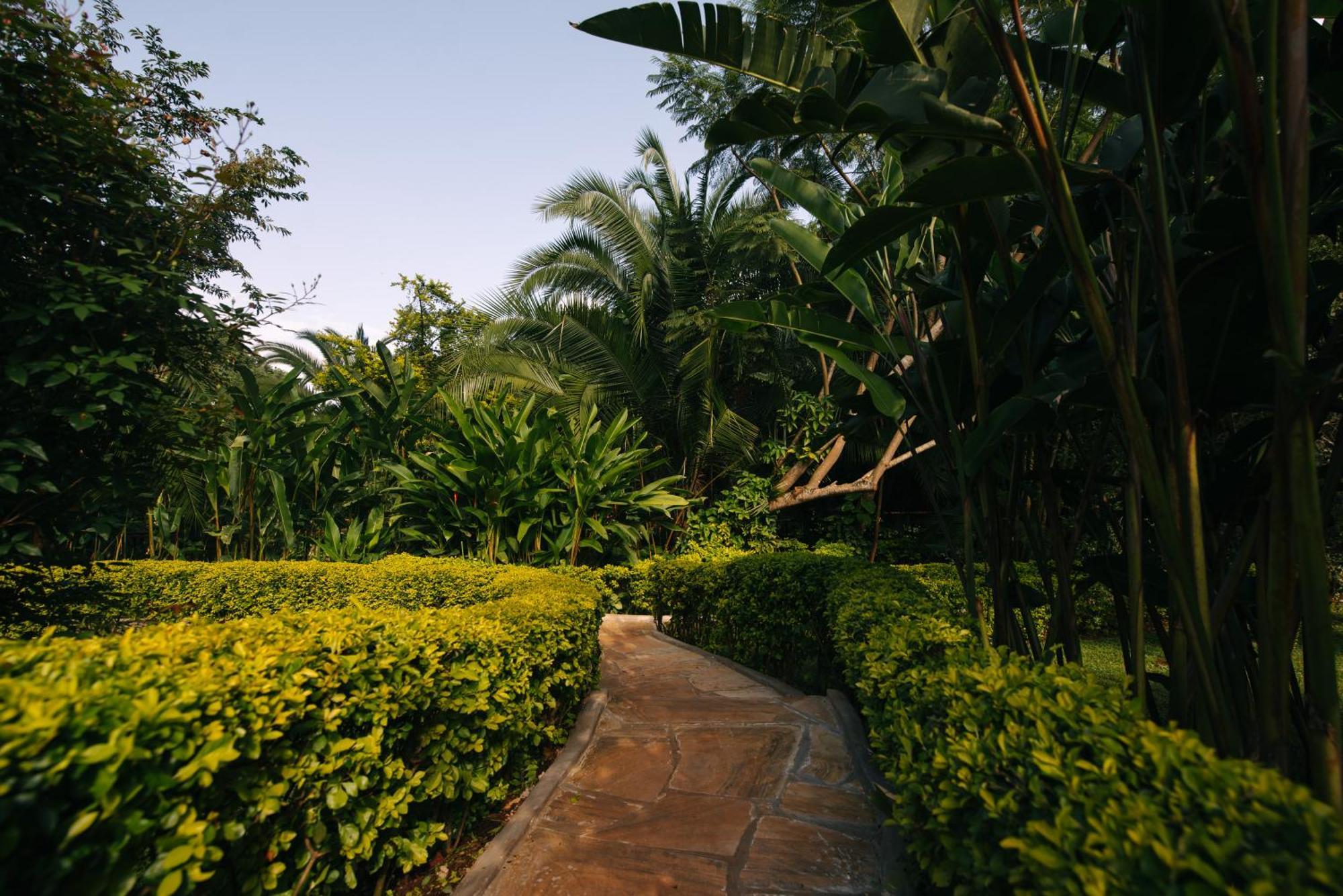Aishi Machame Villa Moshi Buitenkant foto
