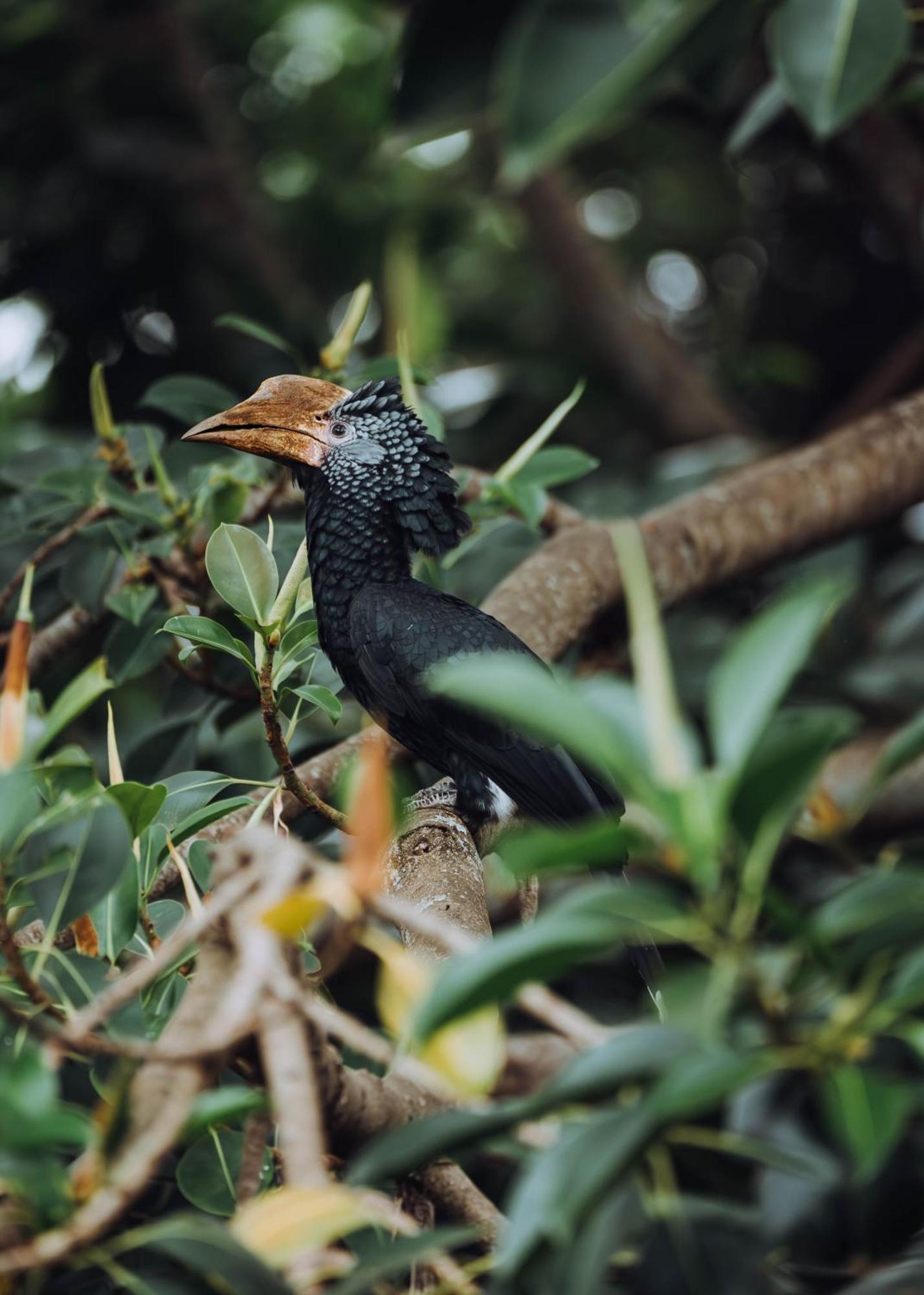 Aishi Machame Villa Moshi Buitenkant foto